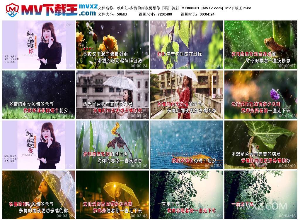 映山红-多情的雨夜更想你_国语_流行_ME800561